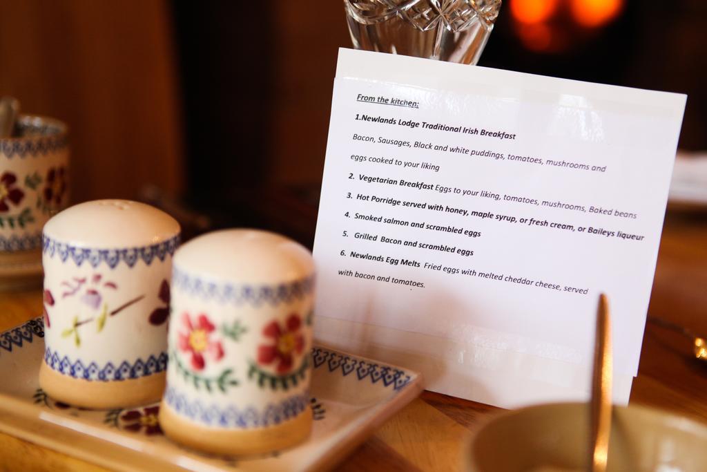 Newlands Lodge Kilkenny Zewnętrze zdjęcie